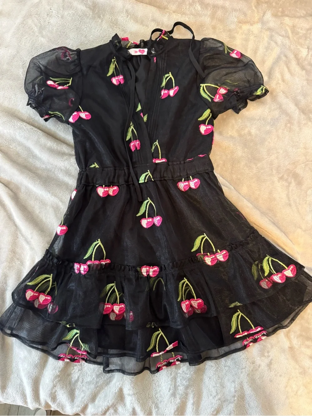 BuddyLove Clementine Black Cherry Embroidered Mini Dress size 8T